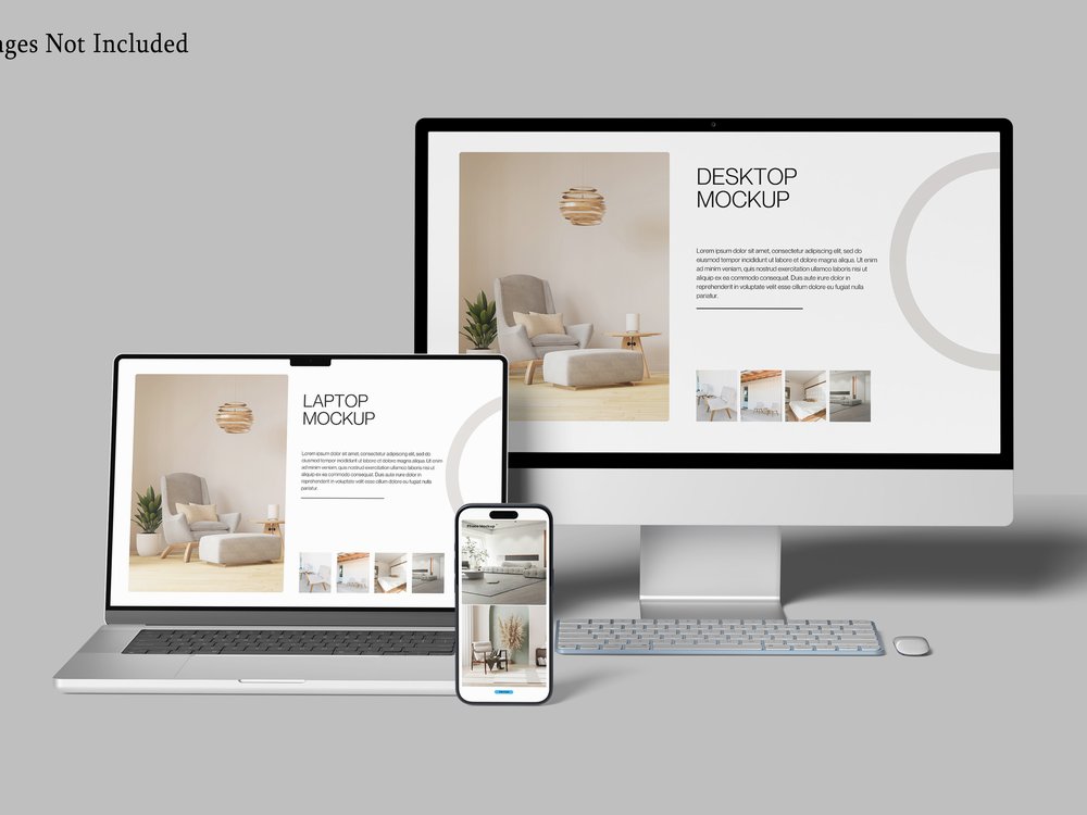 Custom Web Development by Digitlox